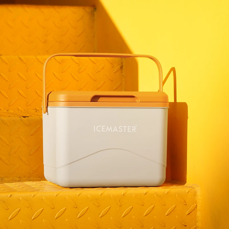 IceMaster Factory Custom 5L Portable Camping Picnic Insulated Cooler Small Beach with Handle