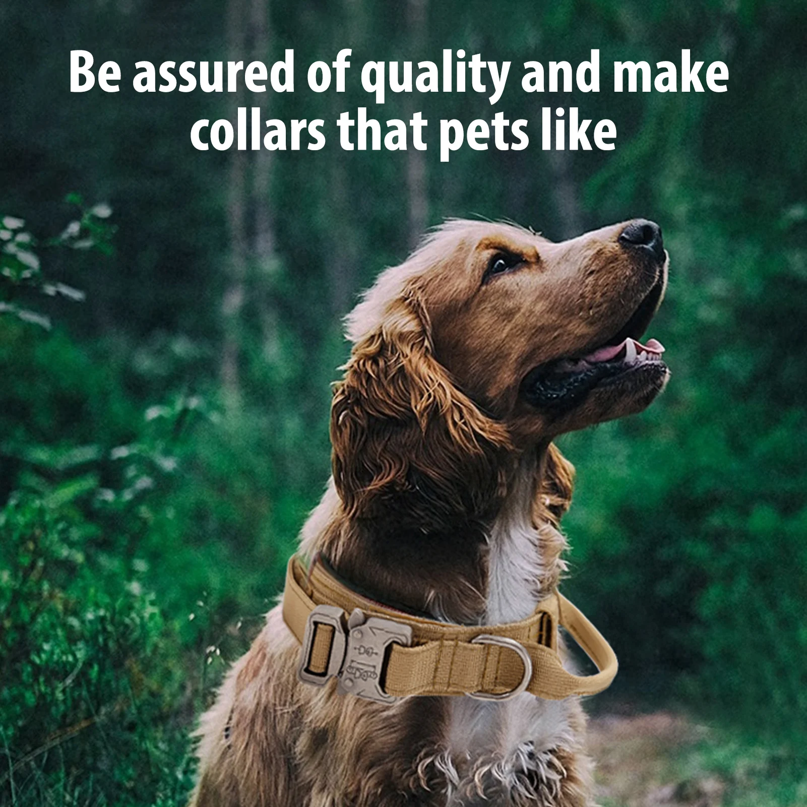 Wholesale Fashion Hunting Metal Buckle Custom Tactical Military Adjustable Pet Collar For Big Dog