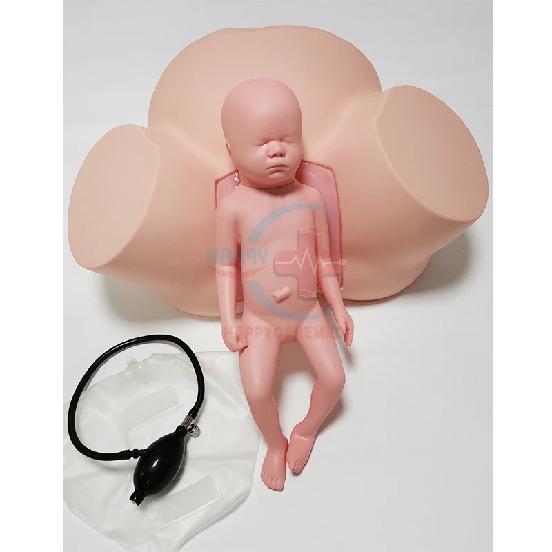 HC-S308 современная модель Dystocia для обучения, модель dystocia для обучения женской доставки