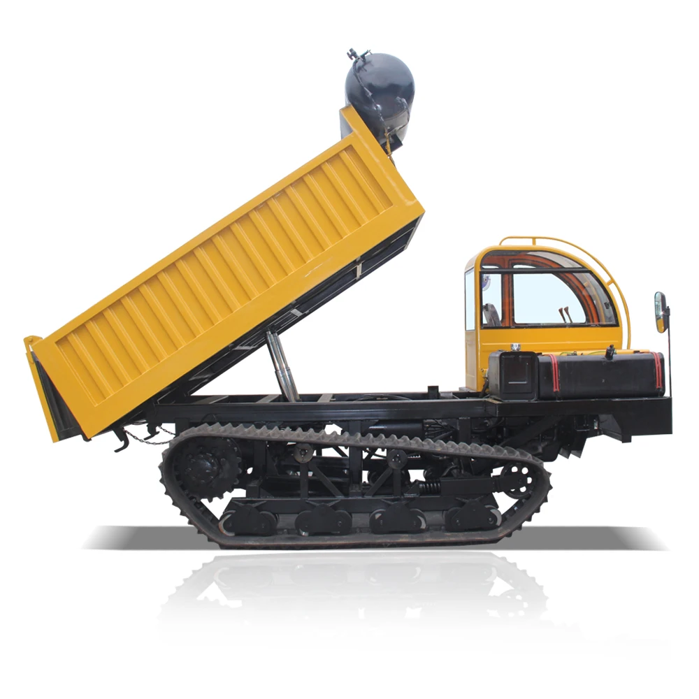 Available in Stock Easy to Operate Chain Dumper Truck Hydraulic Mini Truck Diesel Electric Fuel Options High Driving Cab Roof