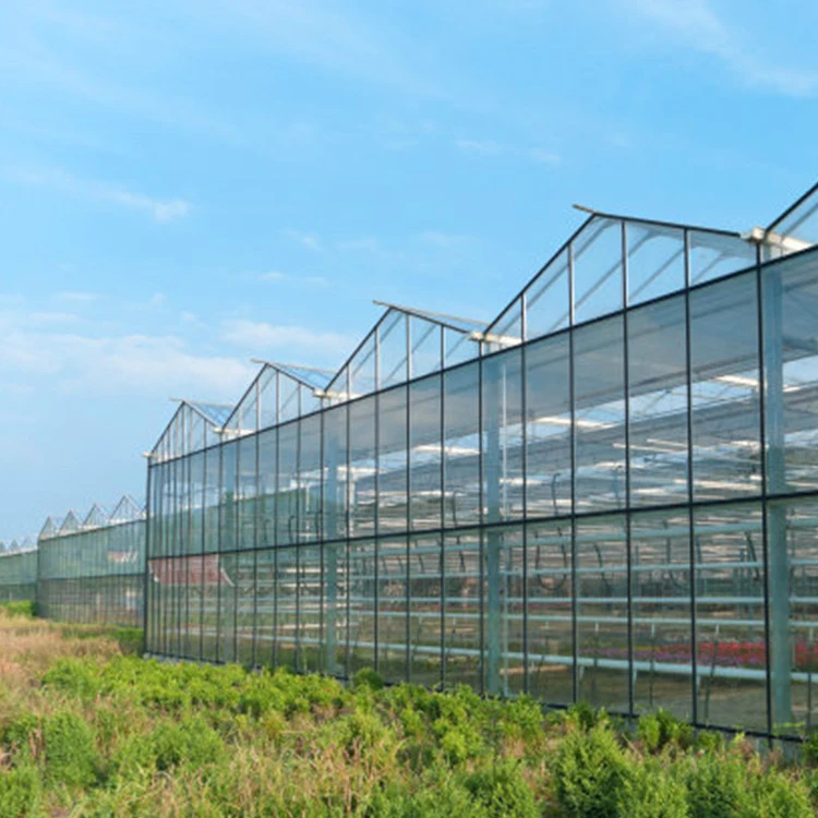 farm tunnel glass greenhouse   vegetable and flower planting greenhouse  agricultural greenhouse