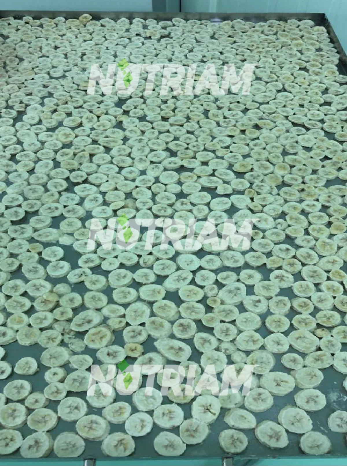 Lyophilized Cheap Sweet Trade Chips Wholesale Dehydrated Bulk Wholesale Frozen Dried Banana Slices Price