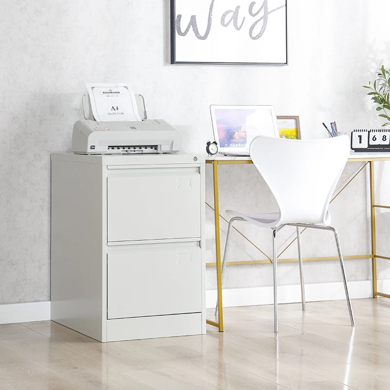 Office furniture 2 Drawer storage cabinets  F4/A4 folder Vertical 2 drawer steel filing cabinet