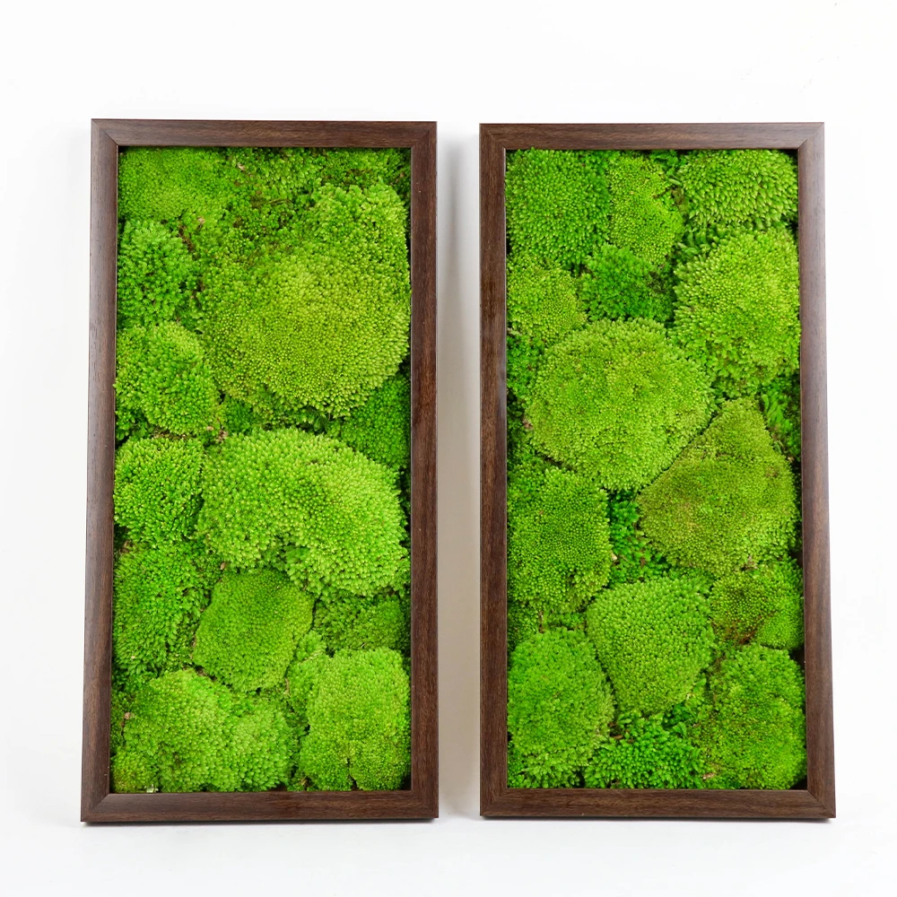 3D Real Reindeer Moss Decoration Art Natural Green Moss Wall
