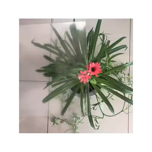 Customized 2mm tempered anti-glare glass silk screen Ag glass non-reflective glass