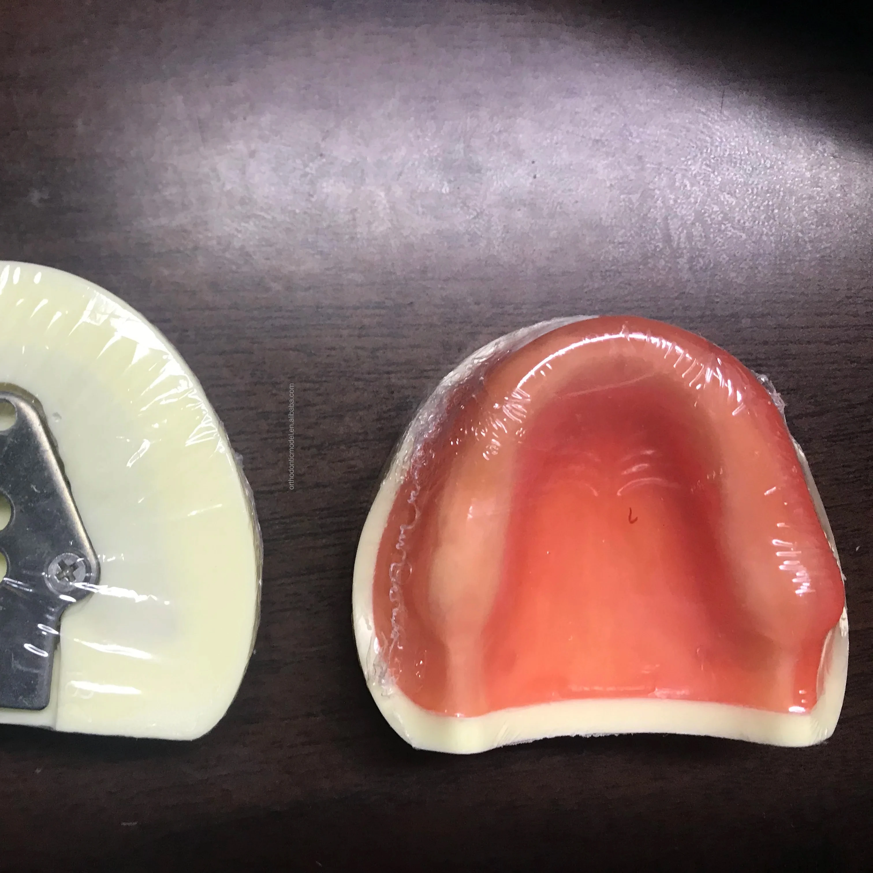 Модель практики имплантата модель челюстной кости верхней