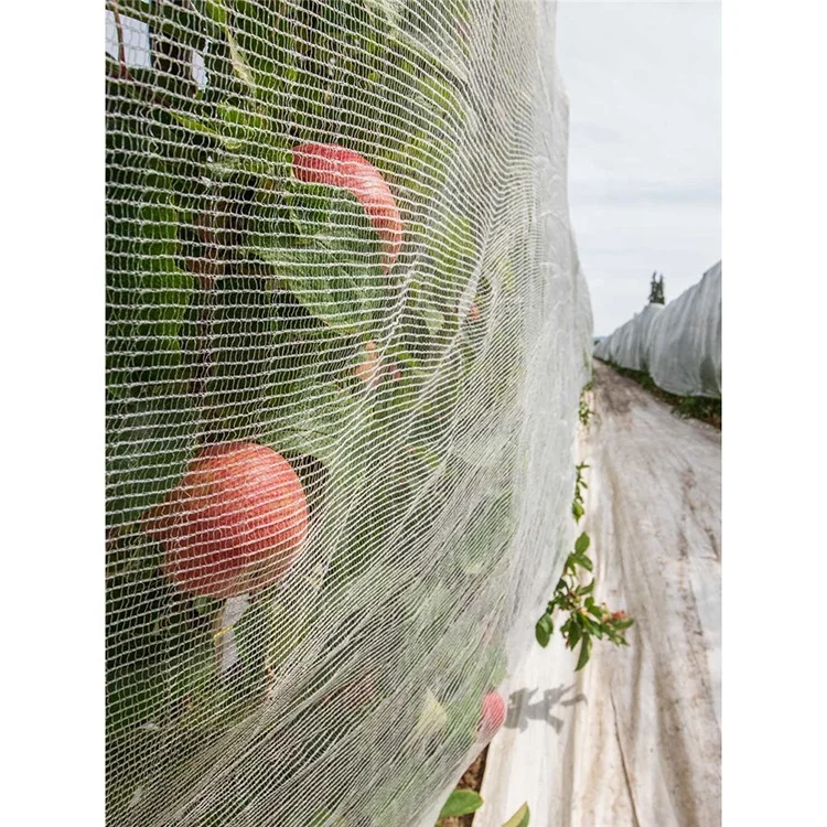100% New HDPE Plastic Farm Vegetable Protection greenhouse net anti insect mesh