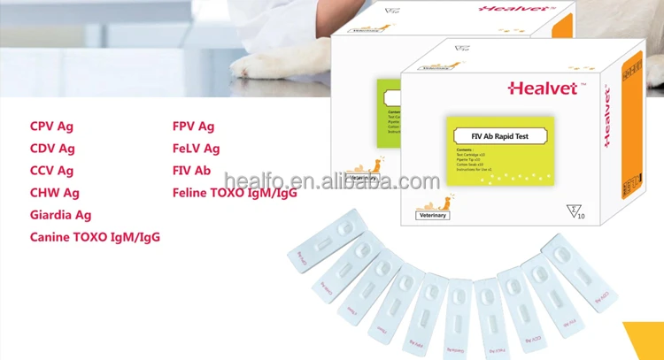 Healvet Feline Toxoplasma Gondii Antibody Rapid Test Pet Diagnostic TOXO IgM/IgG Test Kit