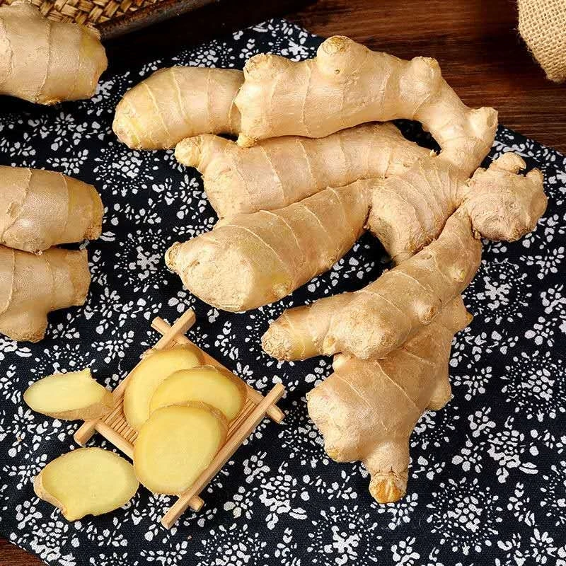 Premium Fresh Lowest Price Fresh Chinese Old Black Ginger Fresh