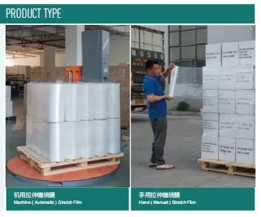 product type.jpg