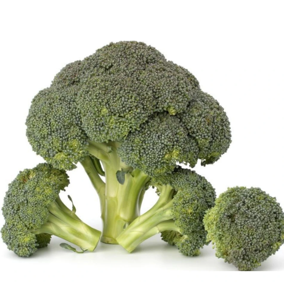 Wholesale Natural Fresh Origin Broccoli Vegetable Fresh Broccoli