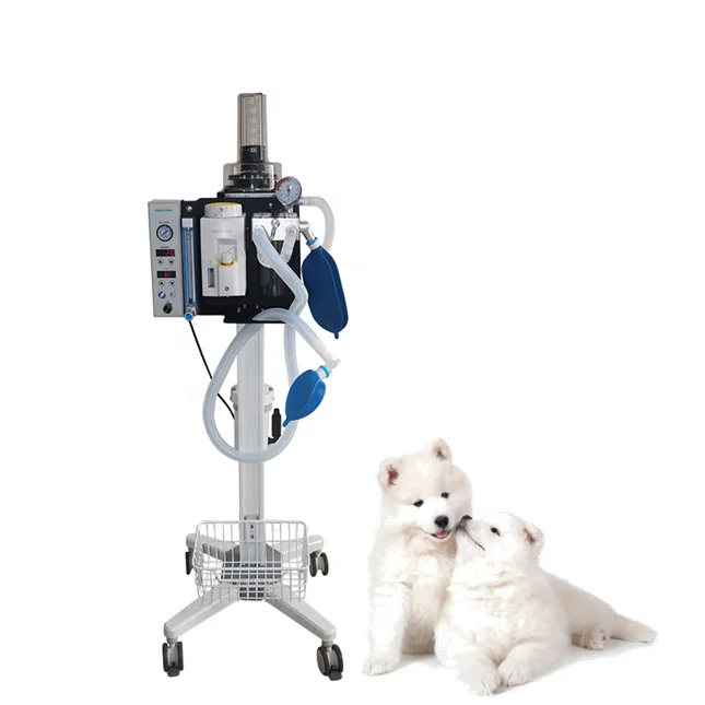 HACEMEY Veterinary Anesthesia Breathing Machine Pet Clinic Use Anesthesia System Portable Anesthesia Machine For Animal