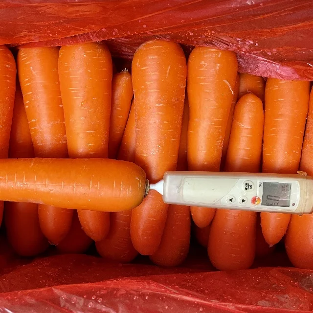 4kg China Fresh Carrot Export Oman  80-150g