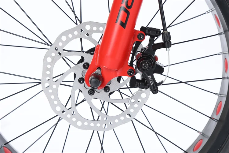 20 Inch  Electric Bicycle Fat Tire Power Assisted Bicycle Beach Lithium Electric Snowmobile