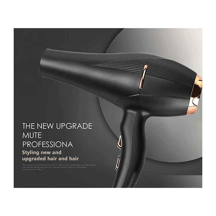 2000w high speed bldc ionic multifunctional powerful hairdryer secador profesional hair dryer