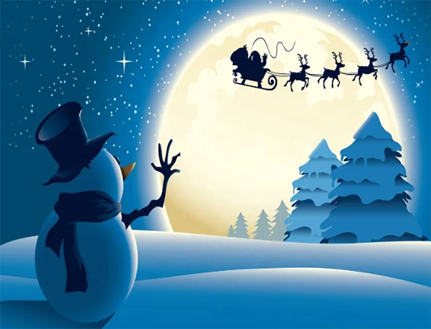 
Christmas decorations and gifts for the elderly with PP corrugated board inserted in the yard 
