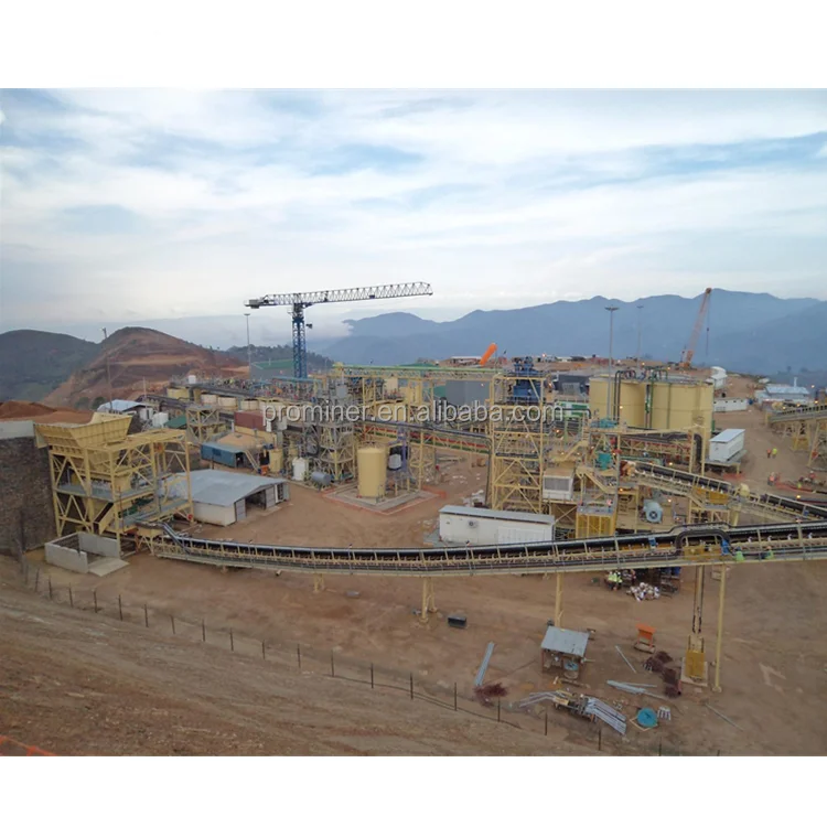 Prominer полное предложение EPC поворотный ключ для CIL установка обработки золота встряхивание стол шаровая мельница система