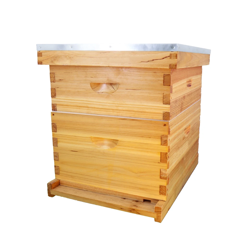 Popular beekeeping tool Langstroth Beekeeping equipment a layer of 10 frame beehives