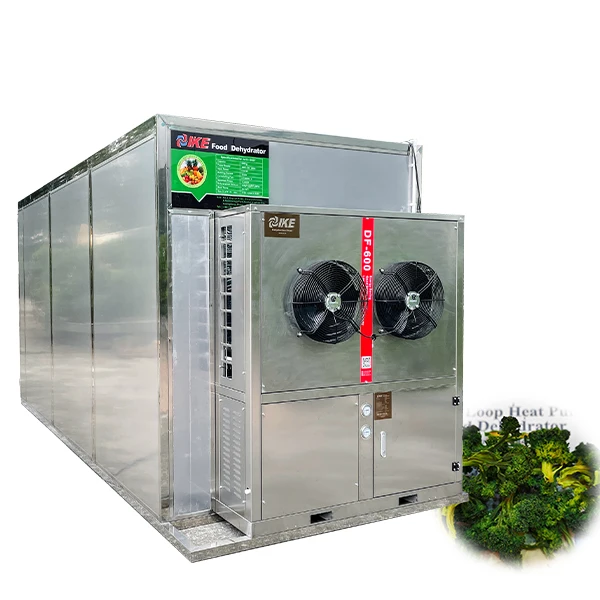 IKE industrial food dehydrator machine suitable for fruit and vegetable fish