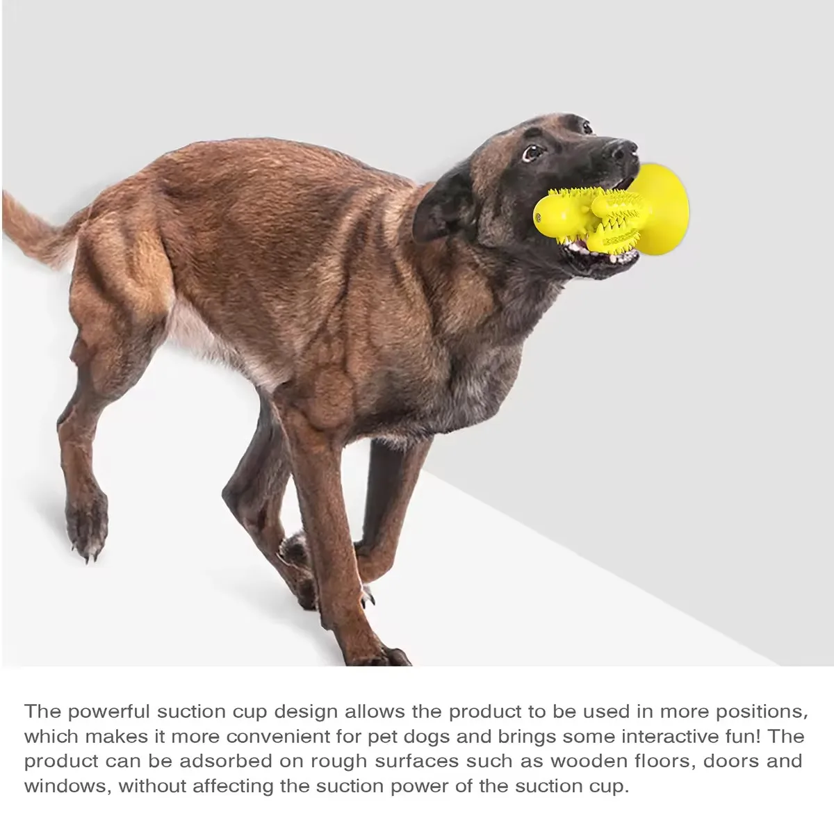 Wholesale Customization Top Sell Wholesale Custom Pet toys for Dogs Puzzle Interactive Pet Chew Dog Toys