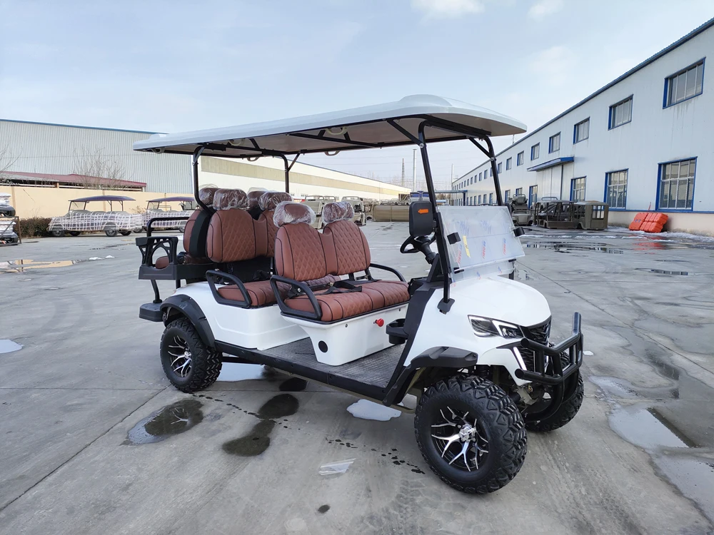 Supply Person Keep 6 Seats Golf Cart Street Legal Vehicle Verified