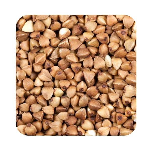 
Premium quality buckwheat groats any quality requirements, product of Russia 