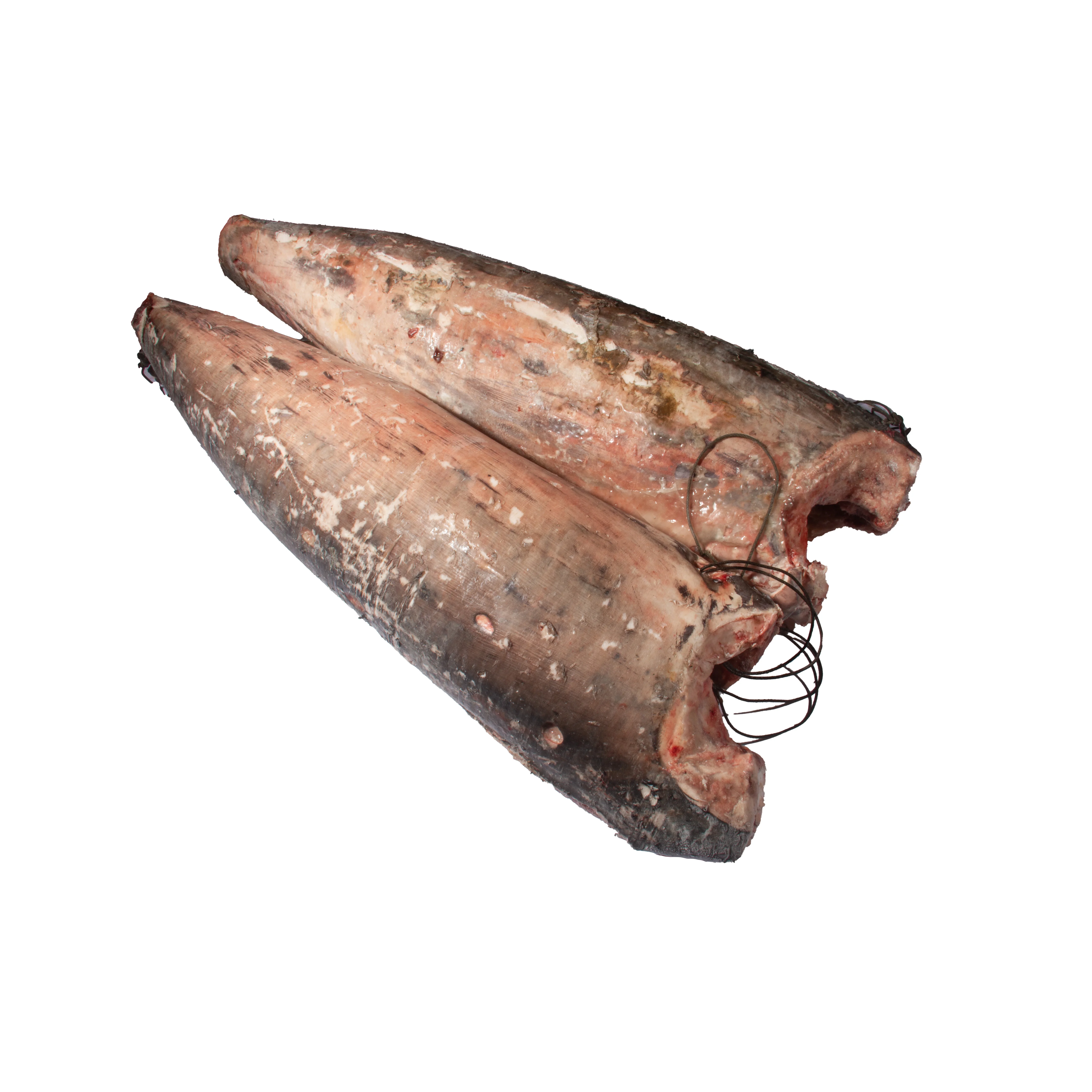 
Fengsheng Best Super Frozen Seafood Wholesale Gluten Free Dorado Fish Swordfish Horse Mackerel 