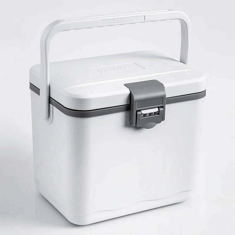 
Milk Cooler Box Camping Beach Picnic Small 5L Ice Box Food Insulated Travel Ice Chest Medicine 