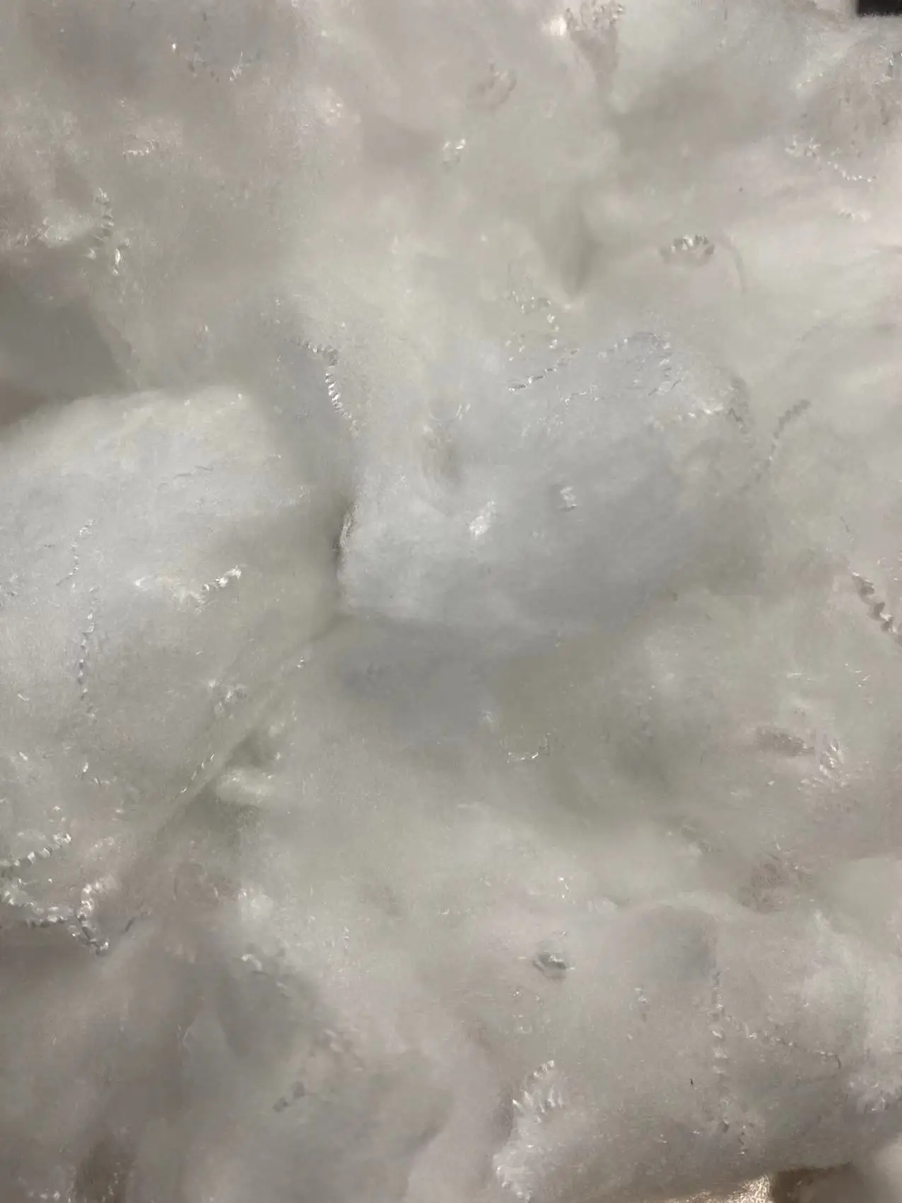 6D51MM65mm  polypropylene  Staple fiber  raw white  black for spinning yarn nonwoven and so on