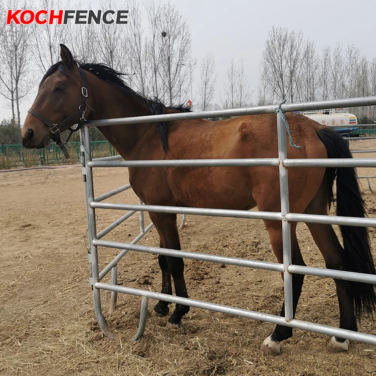 Livestock Panels Wholesale Heavy Duty Round Pen Cattle Horse Goat Metal Fence Panel Galvanized With Gate