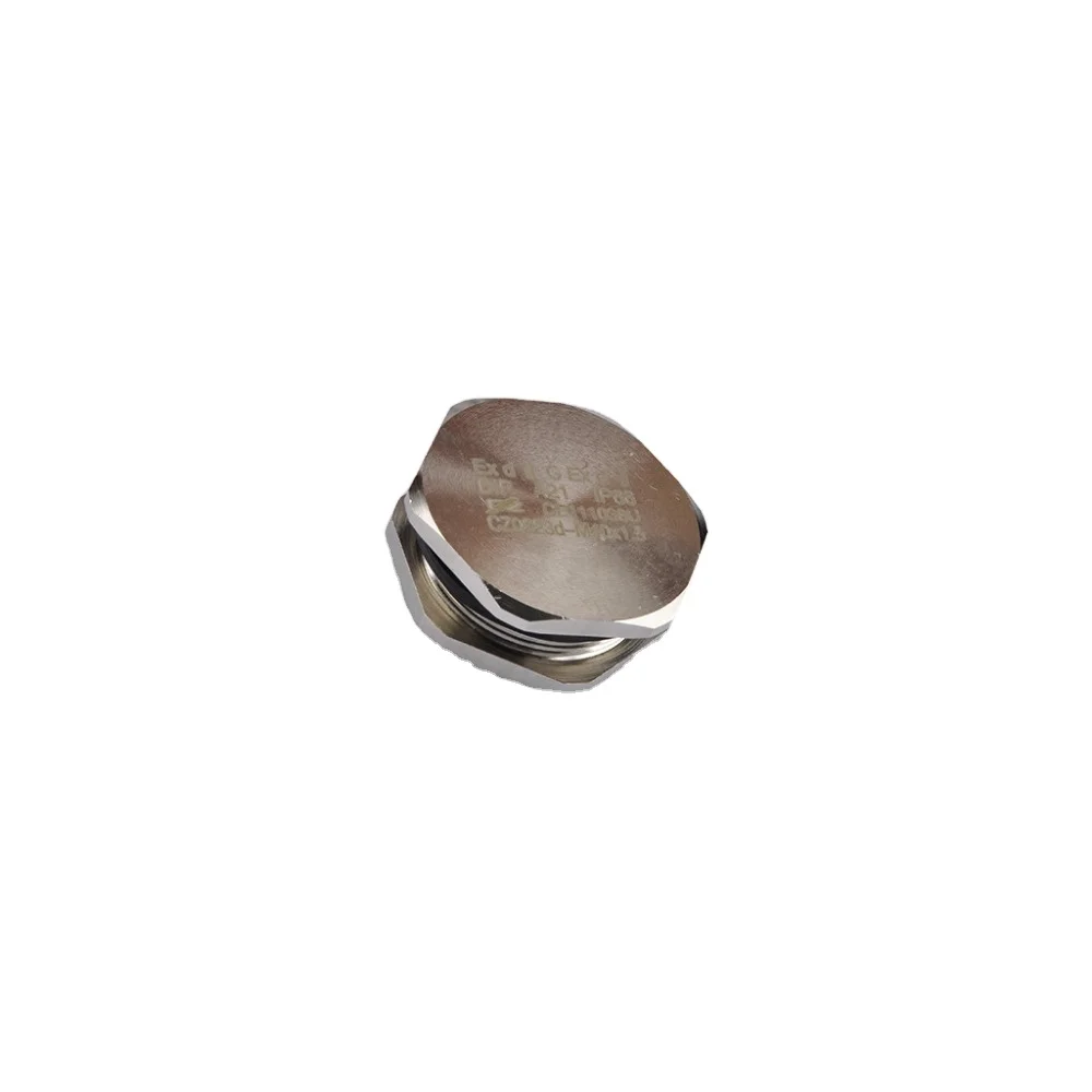 Hottest Explosion Proof Metal Brass Steel Stopping Plug