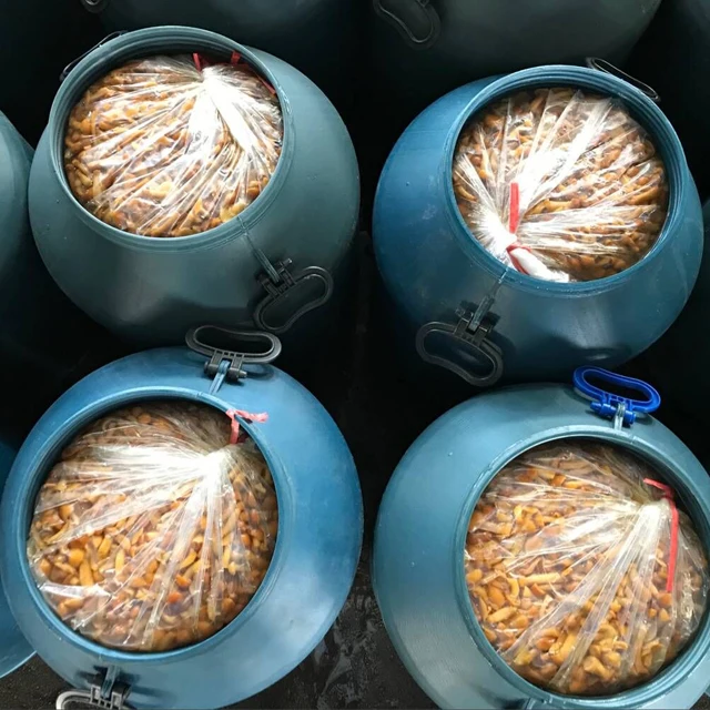  Часто задаваемые вопросы nameko в