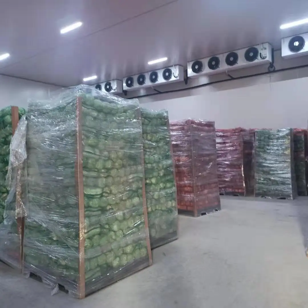 high harvest Farm organic fruitwood grey oyster mushroom spawn logs seeds oyster mushroom sticks