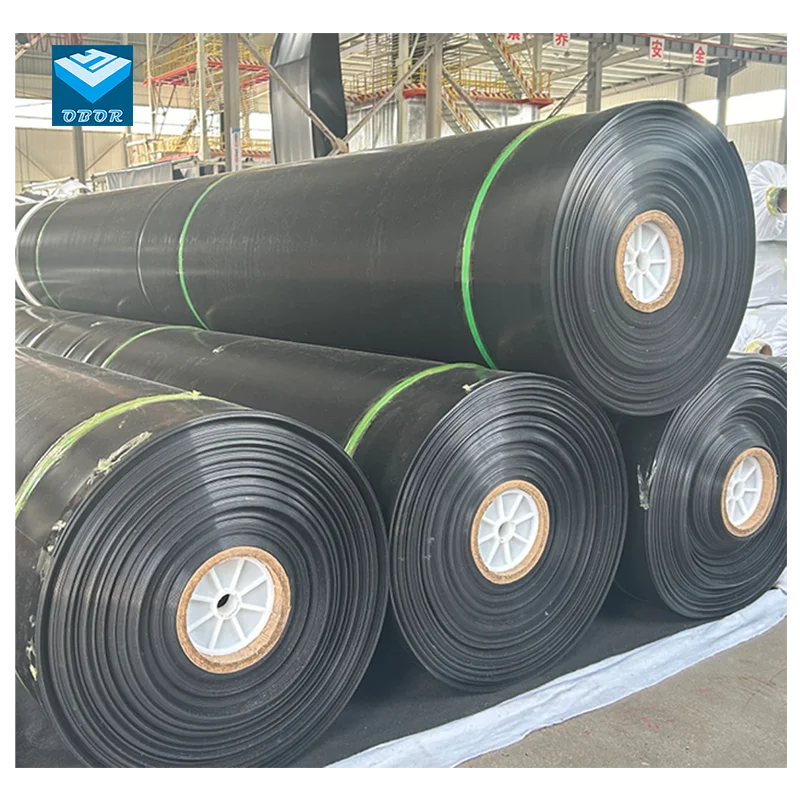 Traditional 0.5mm 0.75mm 1mm 1.5mm 2mm Plastic Sheets Geomembrane