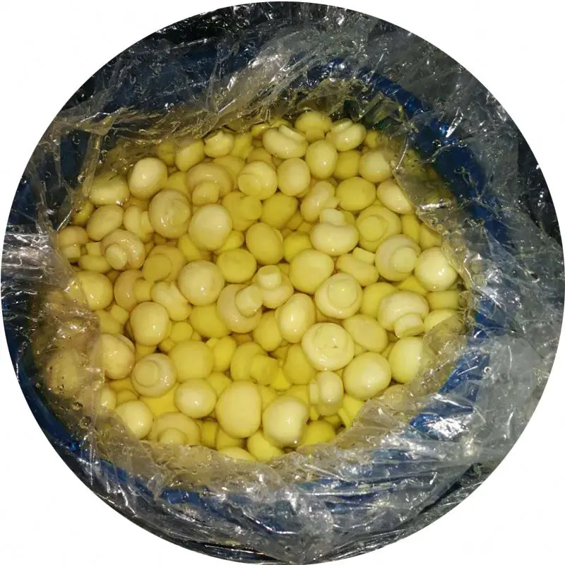 
PNS King oyster mushroom in drums 