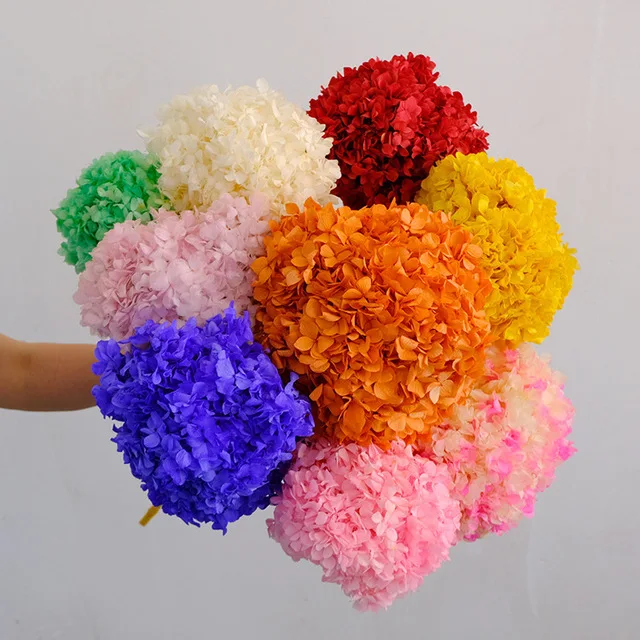 DIY Material Preserved Fresh Anna hydrangea Flower Long Lasting hydrangea