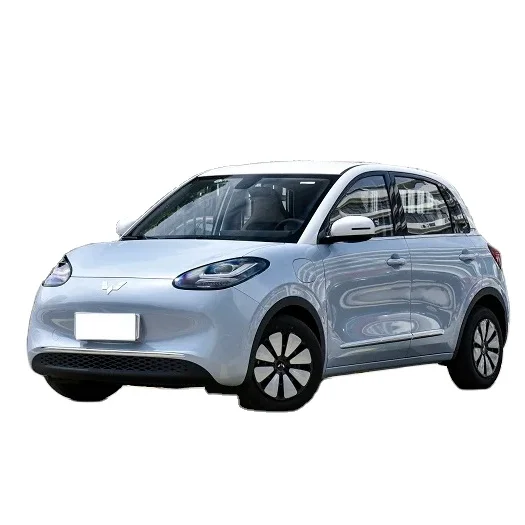 New Car 2024 Wuling Binguo EV 5 Door 4 Seat Wiling Bingo 2023 Explosive Models Cost-effective Mini Electric Car