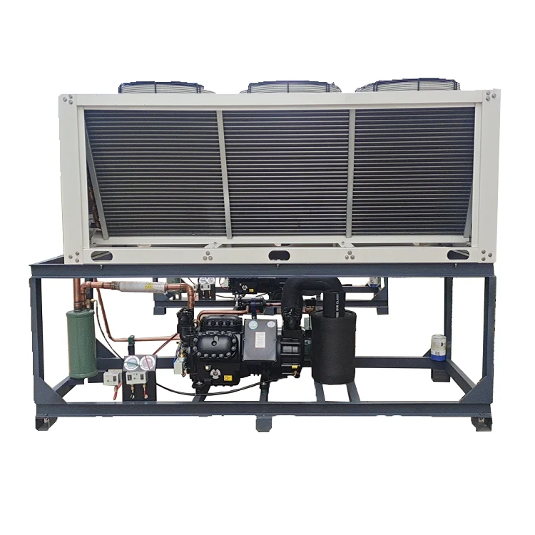 Quality Assurance R134A Emerson Piston Cold Storage Compressor Refriger Piston Compressor Air-cooled Condensing Unit of Copeland