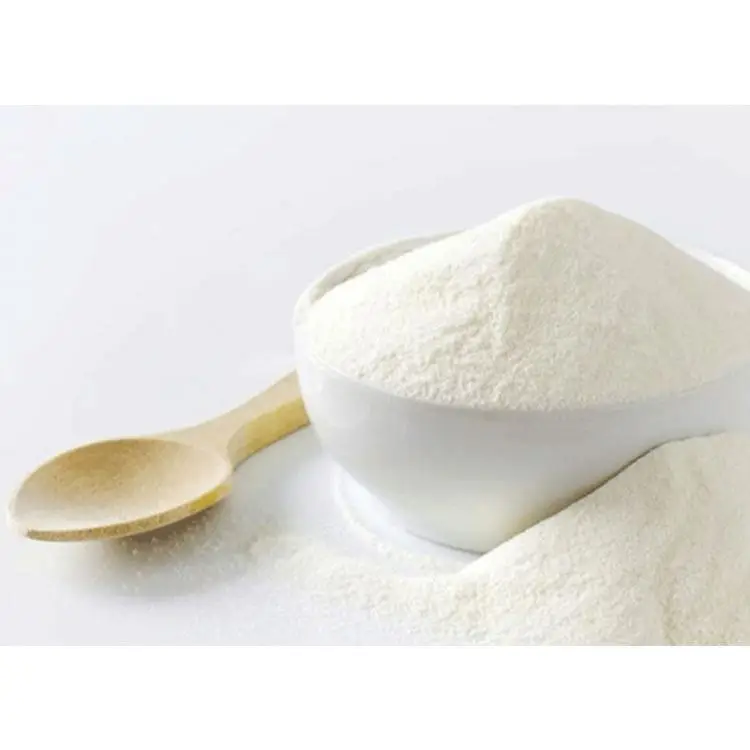 
Muscle Building Bulk Casein and Whey Protein Powder for Sale 