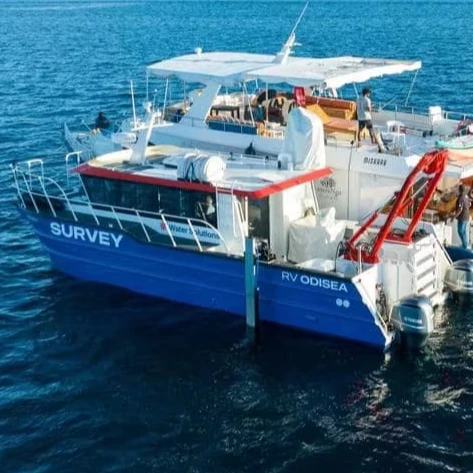 Морской король катамаран40ft лодка Прогулка вокруг морской воды корабль яхта