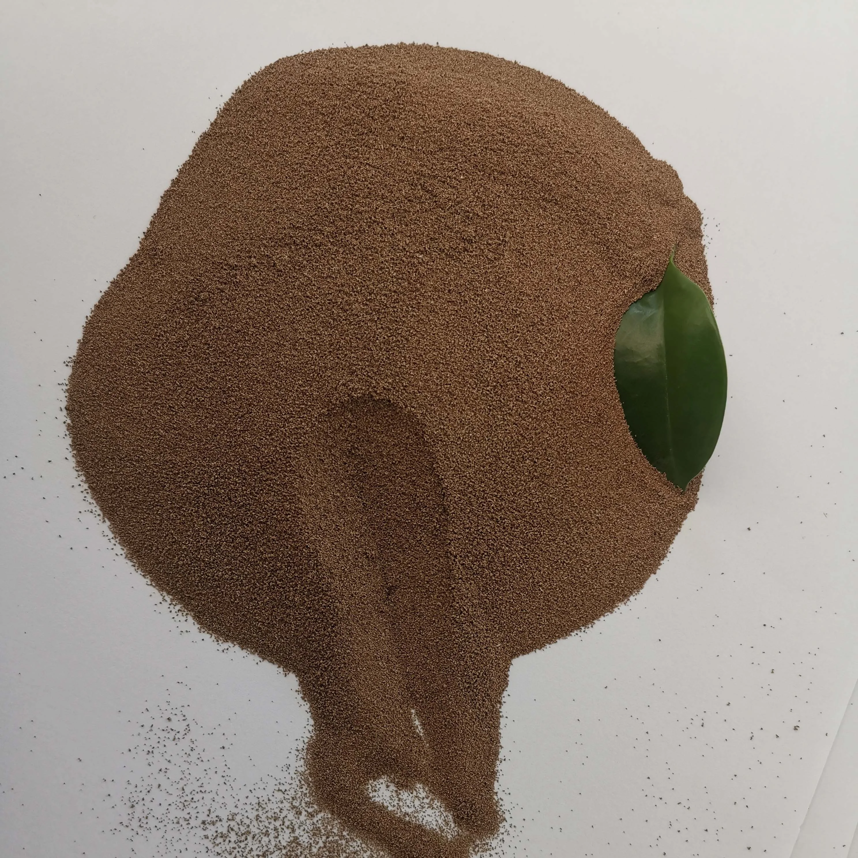 hot sale brine shrimp eggs for baby shrimp feed