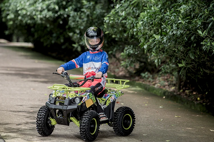 Quad Bikes 24V 36V 48V 350W 500W 800W 1000W Mini Electric