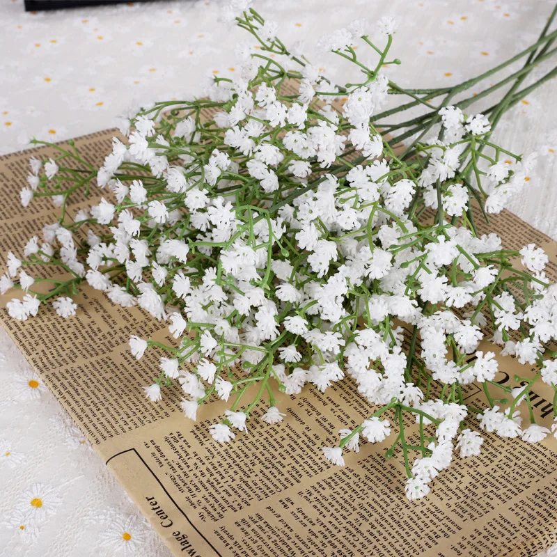 Gypsophila flower2