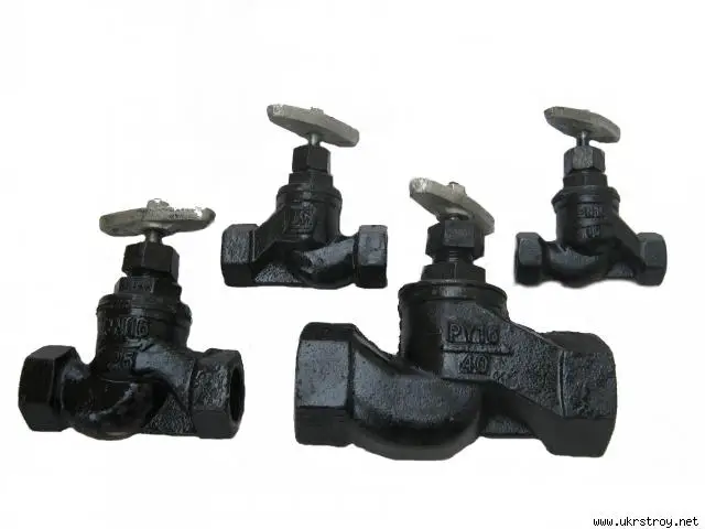 Gost russian globe valve 800lb sw end connection thread end globe valve