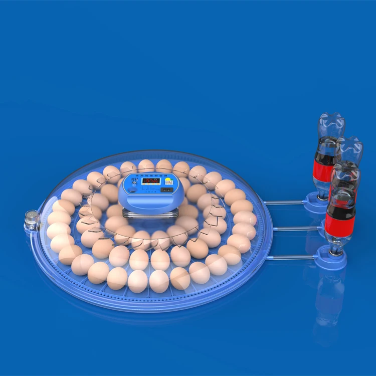Dual power 60 chicken eggs incubators automatic hatching machine