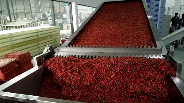Chili ginger pepper continuous mesh belt drying machine for commercial vegetables and fruits dehydrator dryer