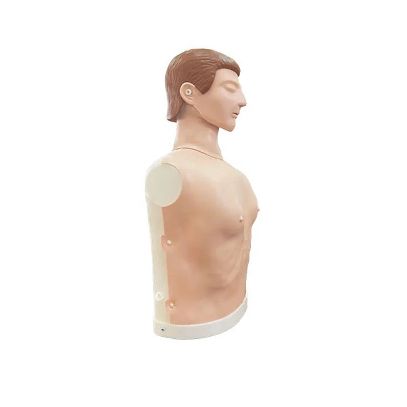 
Factory direct sale cheap first aid manikin half body cpr manikins training 