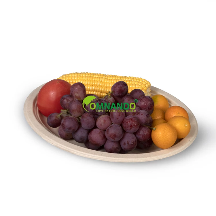 2022 export new food plate wholesale cane syrup disposable tableware