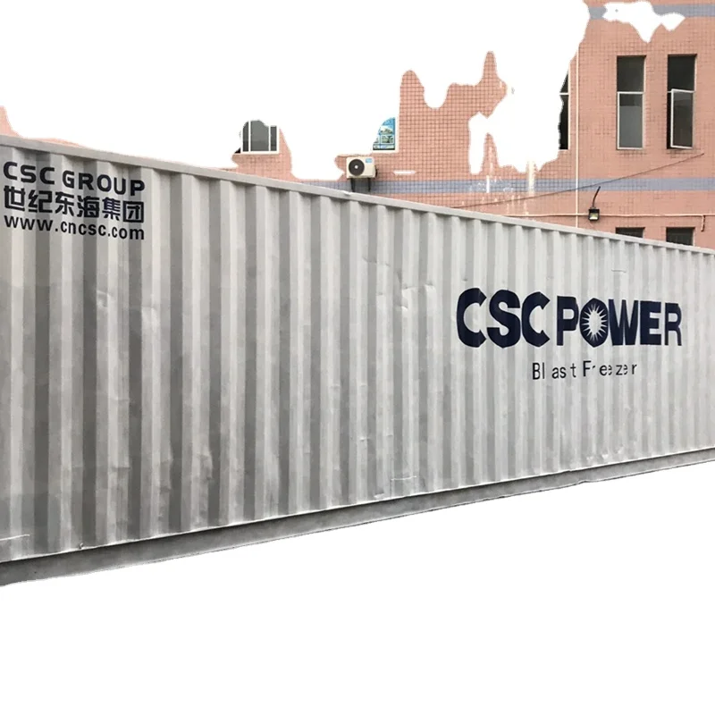 Customize 40 feet Freezer Containers Stainless Steel Cold Room Freezer and Frozen Storage