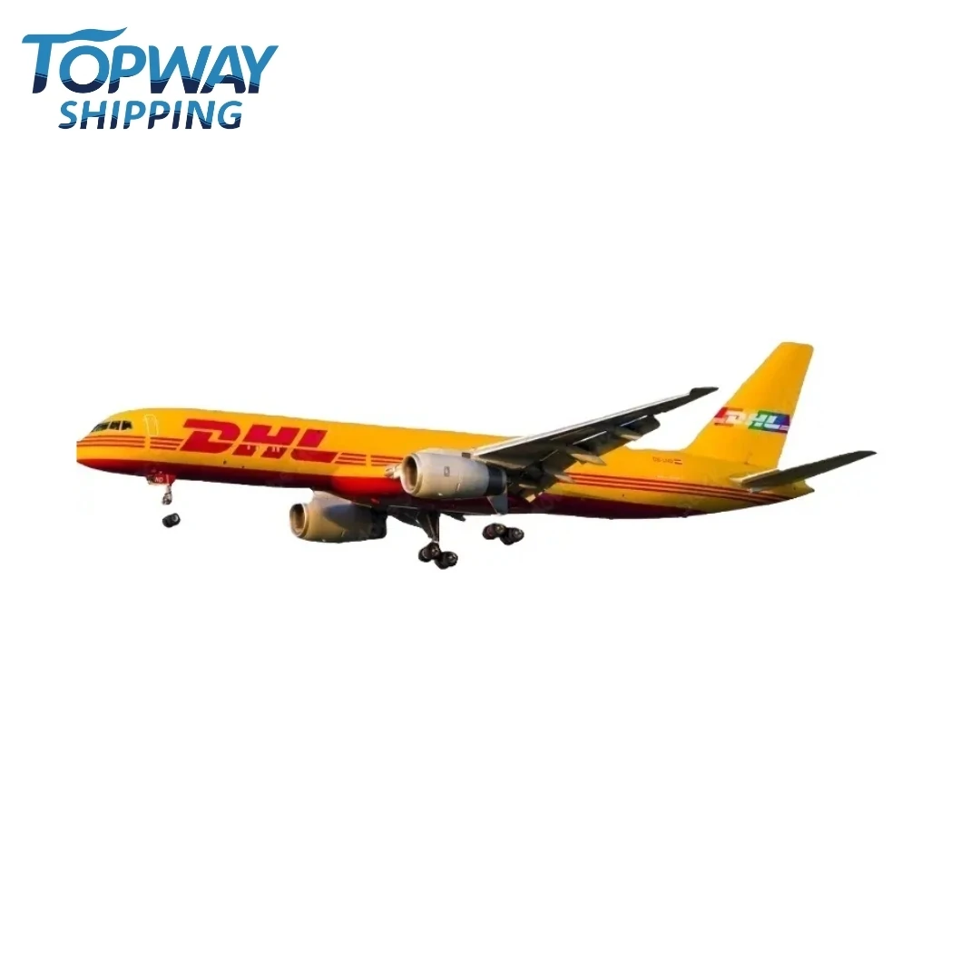 sea shipping service sea freight forwarding agent china door to door to usa ddp service